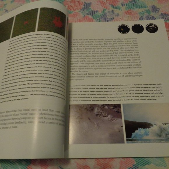 FRACTALS THE PATTERNS OF CHAOS BY JOHN BRIGGS 1992 - Picture 6 of 15